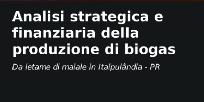 rMIX: Il Portale del Riciclo nell'Economia Circolare - Analisi strategica e finanziaria della produzione di biogas