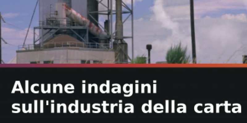 rMIX: Il Portale del Riciclo nell'Economia Circolare - Some investigations on the paper industry