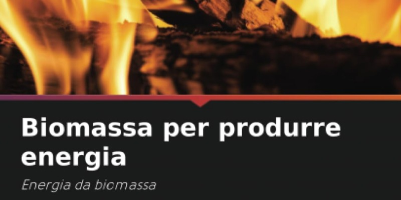 rMIX: Il Portale del Riciclo nell'Economia Circolare - De la biomasse pour produire de l'énergie : l'énergie issue de la biomasse
