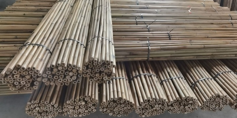 rMIX: Vendemos cañas de bambú reciclables en diferentes tamaños.