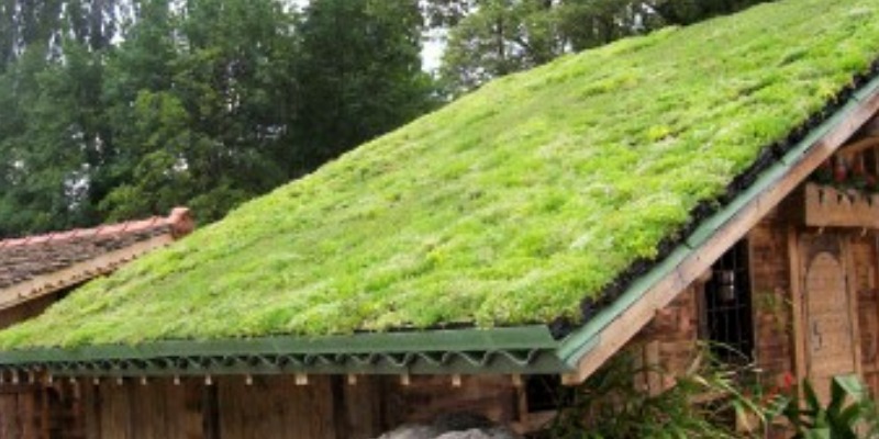 Progettazione e costruzione di tetti verdi e di mitigazione delle piogge