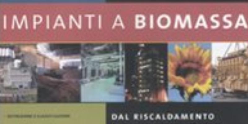 rMIX: Il Portale del Riciclo nell'Economia Circolare - PLANTES À BIOMASSE. #publicité