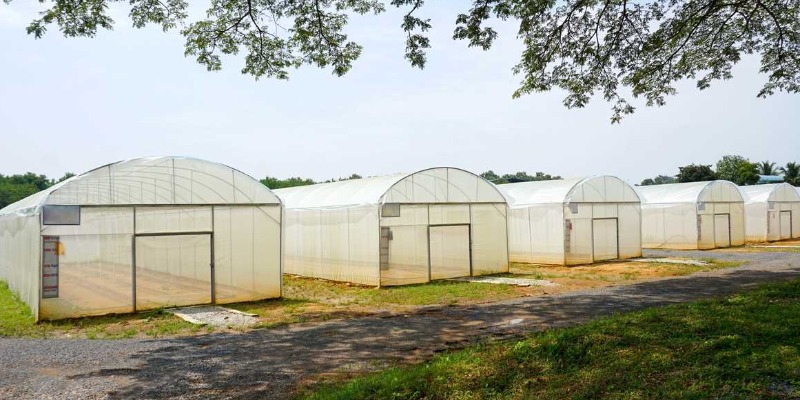https://www.rmix.it/ - rMIX: Film Plastici da Copertura, Protezione, Insaccamento 