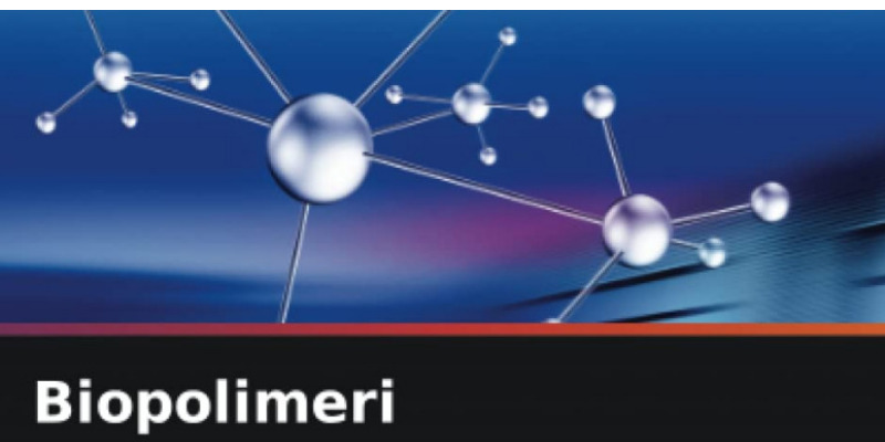 rMIX: Il Portale del Riciclo nell'Economia Circolare - Biopolymers. Book