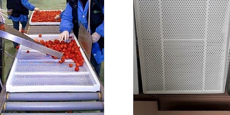 rMIX: Mold for Food Drying Tray