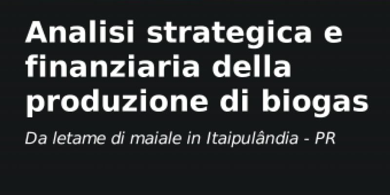rMIX: Il Portale del Riciclo nell'Economia Circolare - Análisis estratégico y financiero de la producción de biogás.