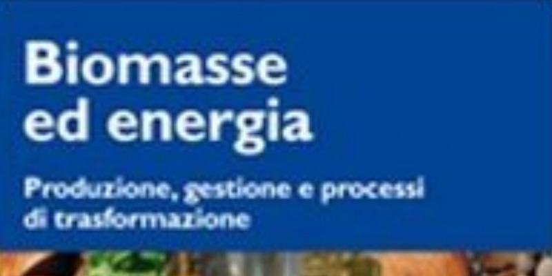 rMIX: Il Portale del Riciclo nell'Economia Circolare - Biomass for energy production. Production, management and transformation processes. #advertising