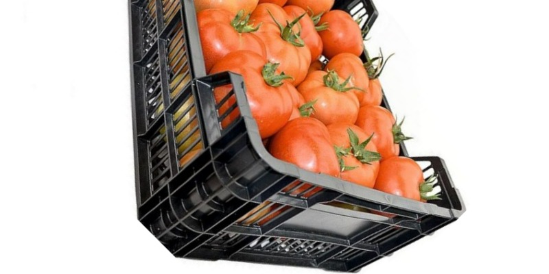 rMIX: Production of Agricultural Boxes in HDPE - 10429