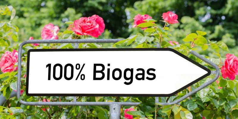 rNEWS: Total Rafforza il Business del Gas Naturale con Fonroche Biogaz