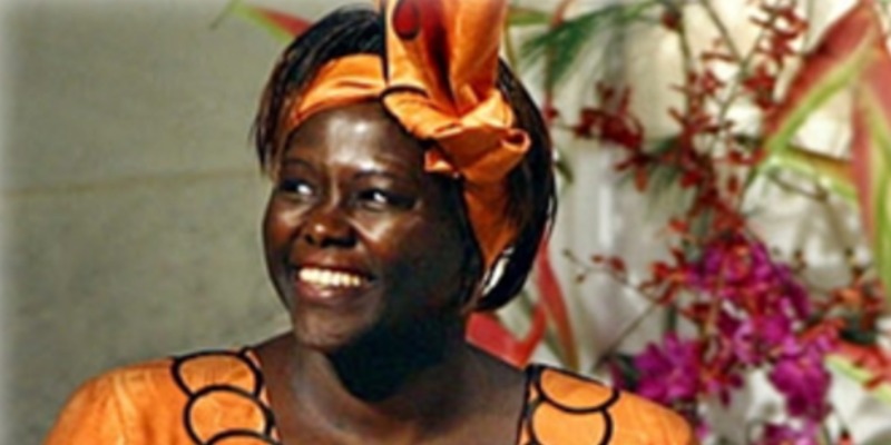 Wangari Maathai: Pioneer of Sustainability and Social Justice