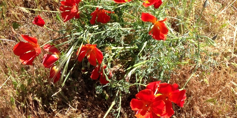 rNEWS: Les Entreprises Respectent-Elles les Engagements qu'elles ont Pris pour le Développement Durable?