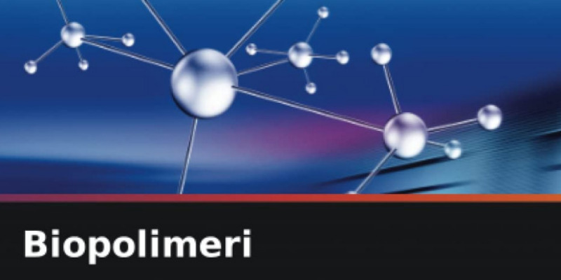 rMIX: Il Portale del Riciclo nell'Economia Circolare - Biopolymers. Book