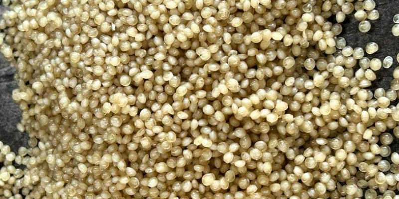 Produzione di granuli plastici in polipropilene