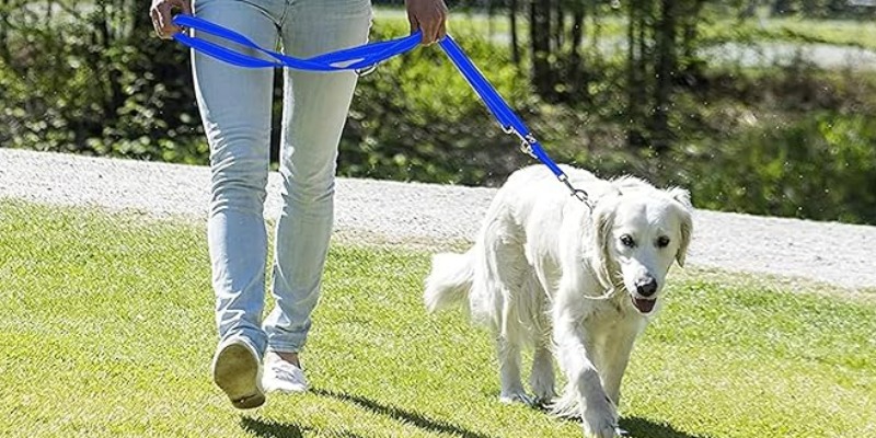 rMIX: Il Portale del Riciclo nell'Economia Circolare - Vendita di guinzaglio per cani in nylon riciclabile con gancio di metallo