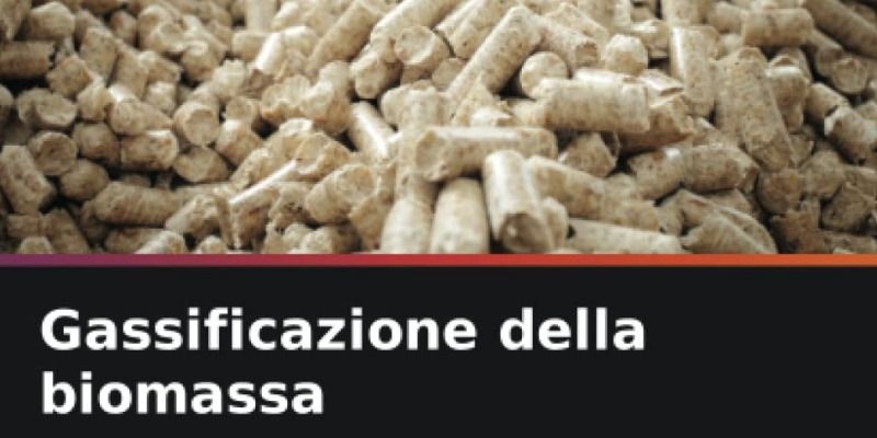rMIX: Il Portale del Riciclo nell'Economia Circolare - Gazéification de la biomasse : Une étude comparative avec différents liants sur charbon et pellets de biomasse