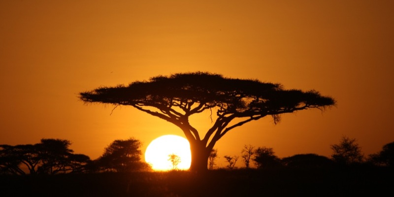 El amanecer ecológico de Tanzania