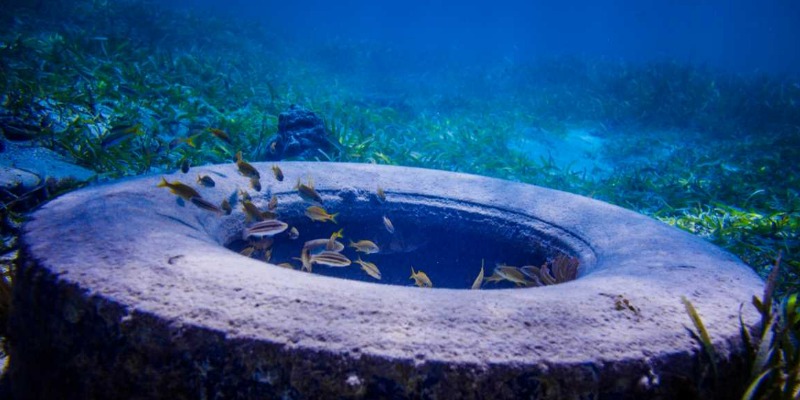 Llantas de Desecho: el Peligro de que los Desechos no Floten