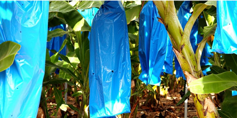 rMIX: Producción de gránulos de PBAT biodegradables para agricultura