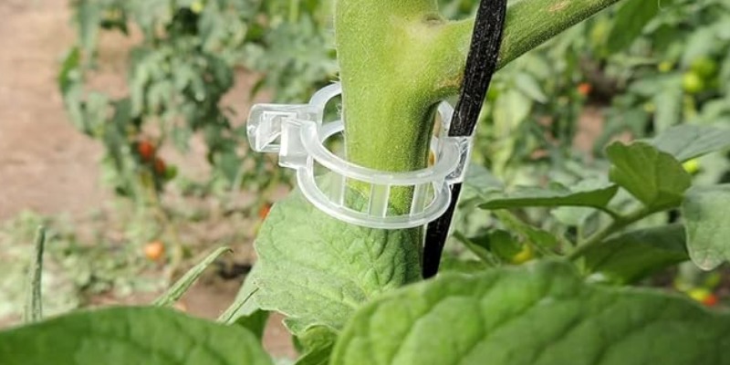 rMIX: Il Portale del Riciclo nell'Economia Circolare - Clip in plastica per Guidare Piante da orto e Giardino. #pubblicità