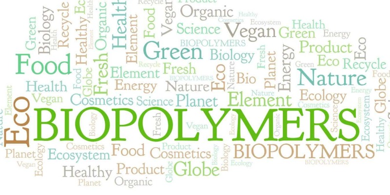  Production de Biopolymères 