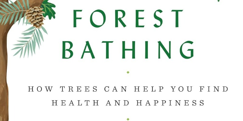 rMIX: Il Portale del Riciclo nell'Economia Circolare - Forest Bathing: How Trees Can Help You Find Health and Happiness. #pubblicità