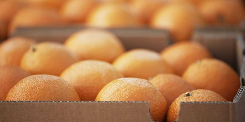 rMIX: Il Portale del Riciclo nell'Economia Circolare