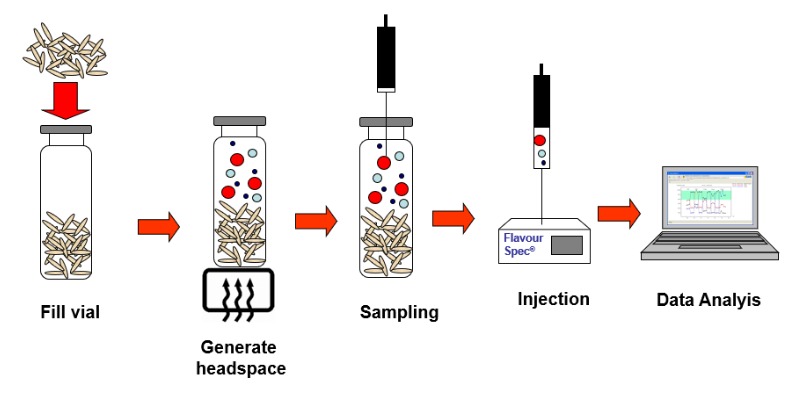 Comment Utiliser la Chromatographie en Phase Gazeuse à Mobilité Ionique dans les Plastiques Recyclés