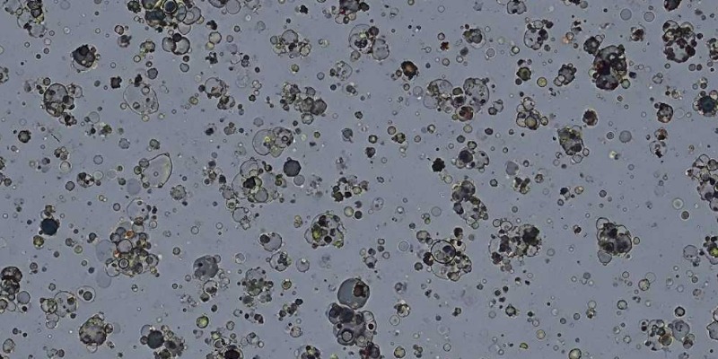 https://www.rmix.it/ - Filtrazione Avanzata del Fuso per Polimeri Riciclati Altamente Contaminati: Strategie e Tecnologie per l'Efficienza Produttiva