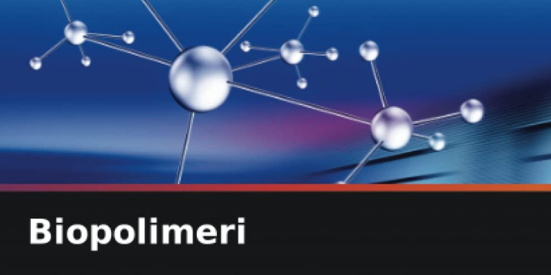 rMIX: Il Portale del Riciclo nell'Economia Circolare - Biopolymers. Book