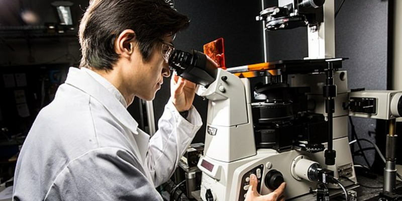Quelle est la Nouvelle Enzyme qui Mange les Déchets PET en un Temps Record