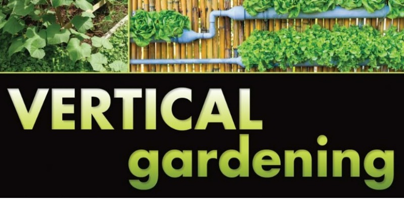 rMIX: Il Portale del Riciclo nell'Economia Circolare - Vertical Gardening: A Complete Guide to Growing Food, Herbs, and Flowers in Small Spaces