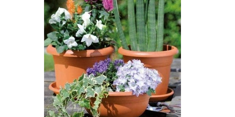 rMIX: Il Portale del Riciclo nell'Economia Circolare - Buy the plastic pot Plant, Cylindrical shape (Terracotta, 40). #ads