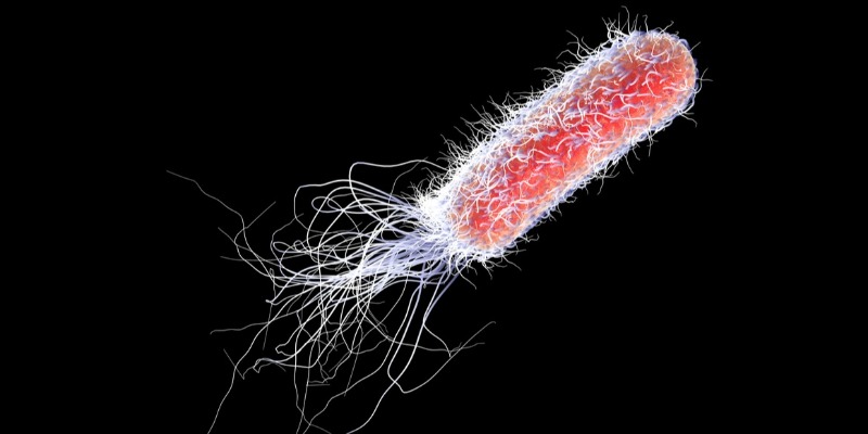 Ricerche microbiologiche per studiare un batterio che decompone il poliuretano