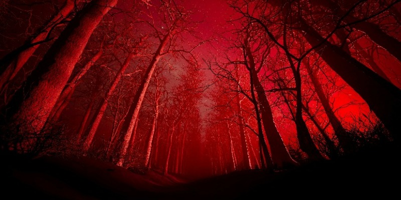 rMIX: Il Portale del Riciclo nell'Economia Circolare - Marco Arezio: A Journey Through Novels of Crime, Secrets, and Eerie Atmospheres