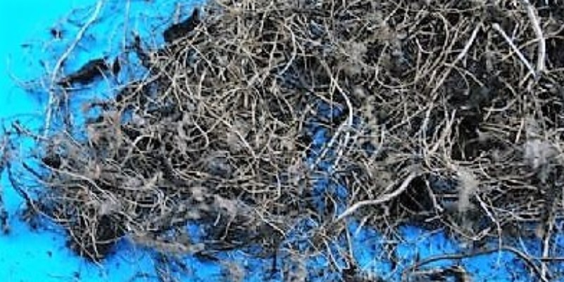 rMIX: We have Steel Wire Scrap from the Tires