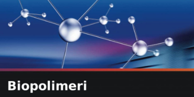 rMIX: Il Portale del Riciclo nell'Economia Circolare - Biopolímeros. Libro