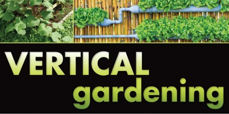 rMIX: Il Portale del Riciclo nell'Economia Circolare - Vertical Gardening: A Complete Guide to Growing Food, Herbs, and Flowers in Small Spaces. #pubblicità