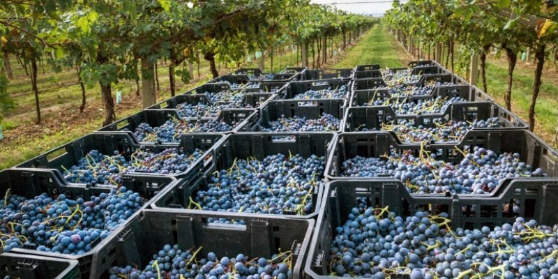 rMIX: Il Portale del Riciclo nell'Economia Circolare - Additivi anti U.V. o Antiossidanti per la Plastica: Quali Differenze e Perché Usarli