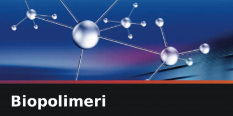 rMIX: Il Portale del Riciclo nell'Economia Circolare - Biopolymers. Book
