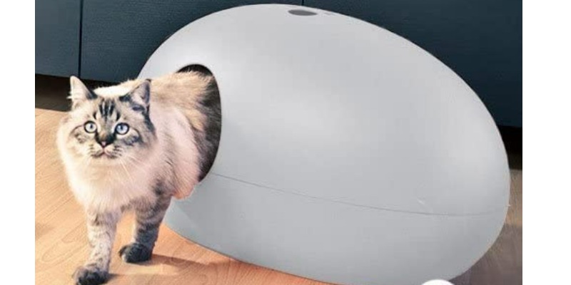 R&R: Cuccia e Lettiera per Gatto in ABS Riciclabile