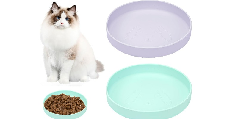 rMIX: Il Portale del Riciclo nell'Economia Circolare - Acquista ciotola in plastica per il cibo del gatto 