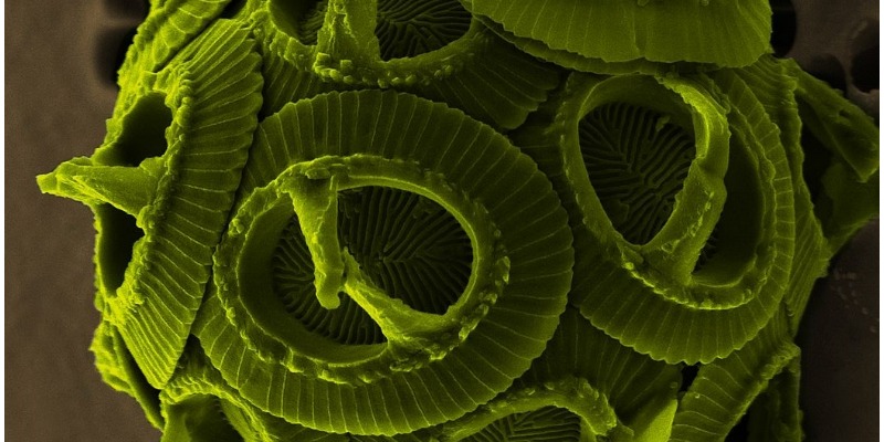 https://www.rmix.it/ - Bio Inerti per la Produzione di Calcestruzzo e Cemento Ecocompatibile