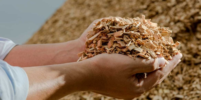 rMIX: Production de Biomasse à partir de Bois pour Produire de l'Energie