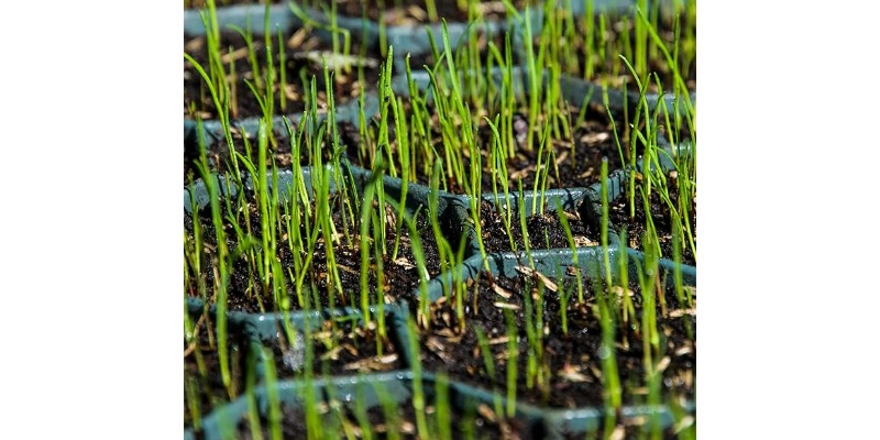 rMIX: Il Portale del Riciclo nell'Economia Circolare - Acquista la Griglia per prato in plastica verde, 50 x 50 x 4 cm, pannelli per prato a nido d'ape. #ads