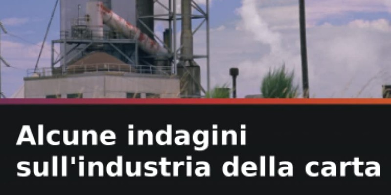 rMIX: Il Portale del Riciclo nell'Economia Circolare - Some investigations on the paper industry