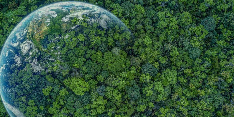 Trattamento delle Biomasse Legnose per la Produzione di Energia