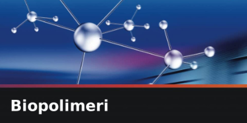 rMIX: Il Portale del Riciclo nell'Economia Circolare - Biopolymers. Book