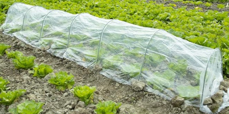 rMIX: Il Portale del Riciclo nell'Economia Circolare - Achetez une bâche en polyéthylène PE pour tunnel de serre, film UV transparent pour l'agriculture. #les publicités