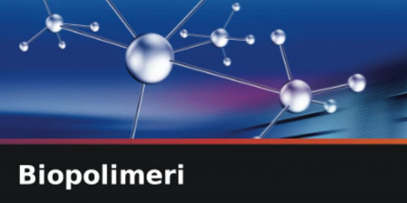 rMIX: Il Portale del Riciclo nell'Economia Circolare - Biopolimeri. Libro