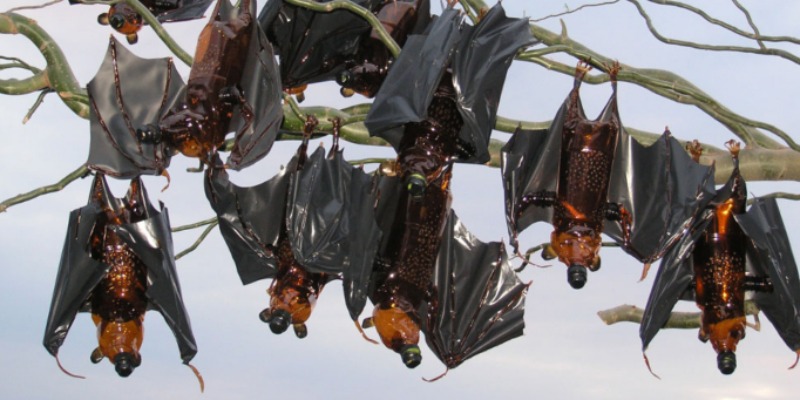 https://www.rmix.it/ - rMIX: Opera d'Arte Con Bottiglie in Plastica Riciclate: Pipistrelli
